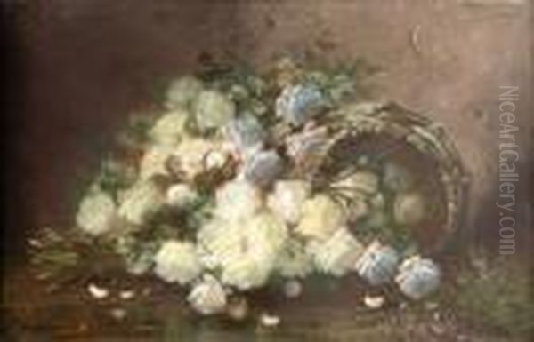 [roses Blanches.] - view 1
