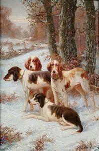 A Walk In The Snow