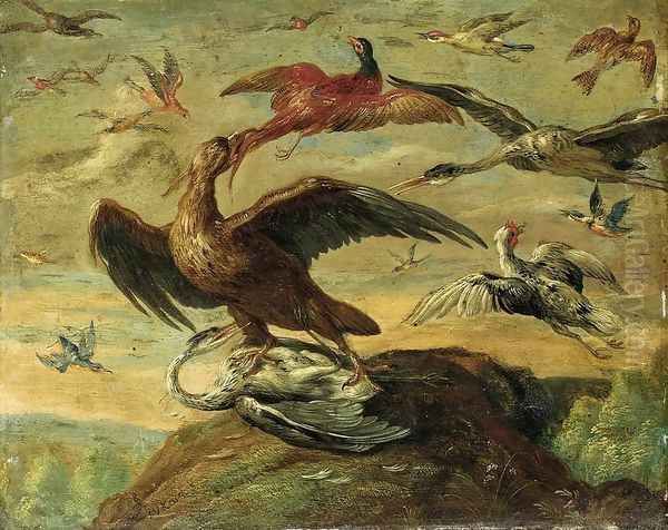 Birds - view 1