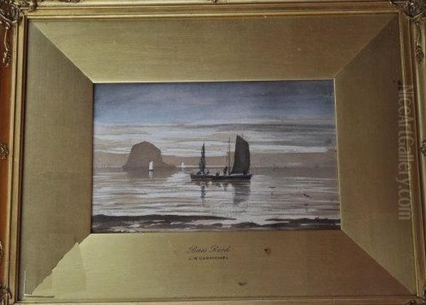 The Bass Rock - view 1