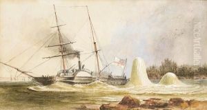 The Survey Vessel H.m.s. Merlin