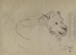 Etude De Lion