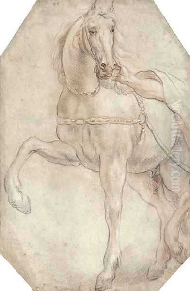 A harnessed horse looking to the right - view 1