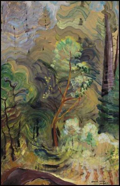 Young Arbutus - view 1