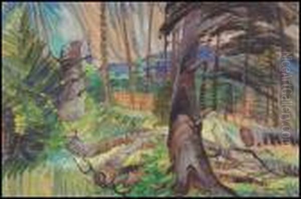 A Forest Clearing - view 1