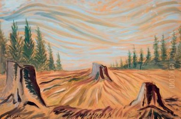 Cleared Land - view 1