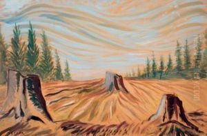 Cleared Land