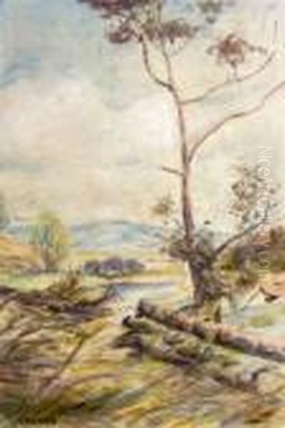 Glade Scene - view 1