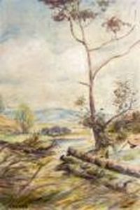 Glade Scene