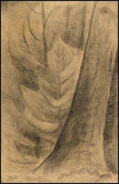 Tree Study - view 1