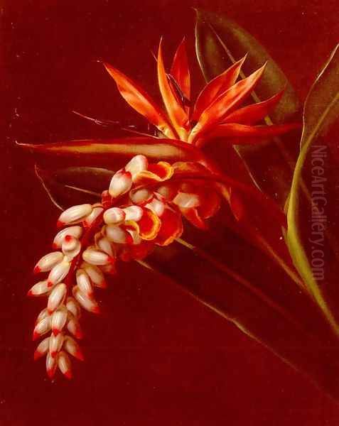 Bird Of Paradise - view 1