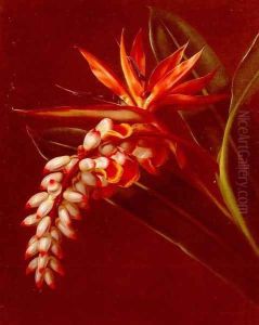 Bird Of Paradise by Johan Laurentz Jensen