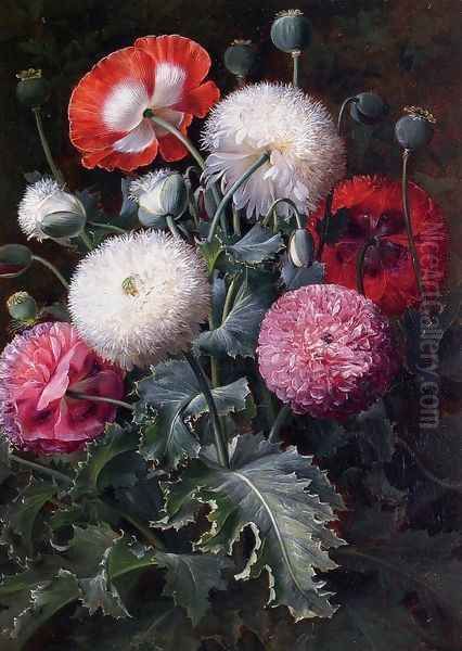 Still Life with Pink, Red and White Poppies - view 1