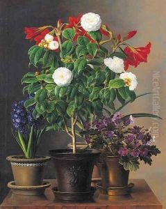 Camelias, amaryllis, hyacinth and violets in ornamental pots on a marble ledge by Johan Laurentz Jensen