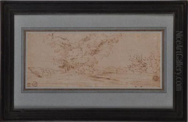 Extensive Landscape With A Clump Of Trees - view 1