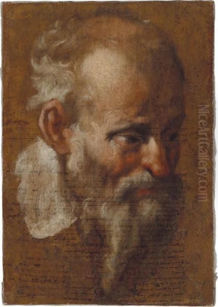 Headstudy Of A Bearded Old Man - view 1