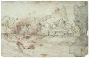 Paysage Anime