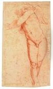 Figure Of A Winged Putto Looking Up In A Twisted Posture<</b> by Annibale Carracci