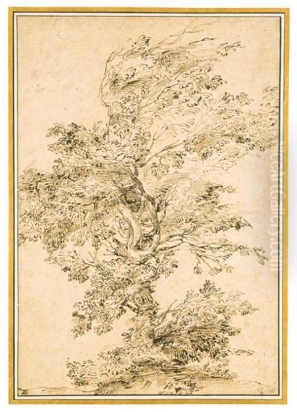 A Large Tree On A Rise
With Inscription 'carraci'
Black Chalk, Pen And Brown Ink - view 1