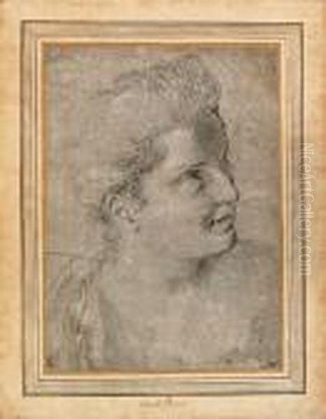 The Head Of A Woman, Turned To The Right - view 1
