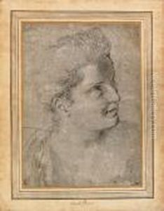 The Head Of A Woman, Turned To The Right by Annibale Carracci
