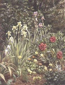 A Corner of the Garden by Frederick William Jackson