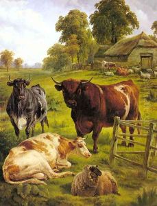 A Pedigree Bull by Charles Jones