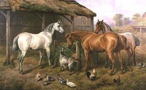 Farmyard Friends by Charles Jones