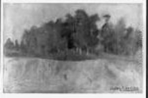 Paysage Paysage