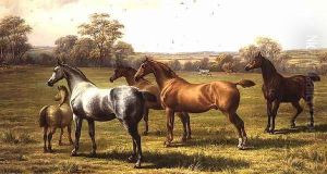 Horses and Foal in a Field by Charles Jones