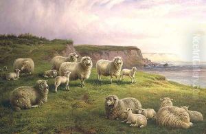 Sheep on a Dorset Coast by Charles Jones