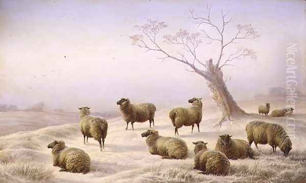 Sheep in Snow - view 1