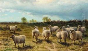 Sheep on a heath by Charles Jones