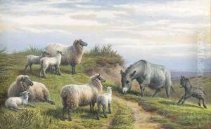 Spring by Charles Jones