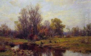 Woodland Scene