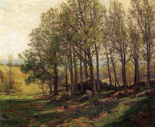 Maples in Spring - view 1