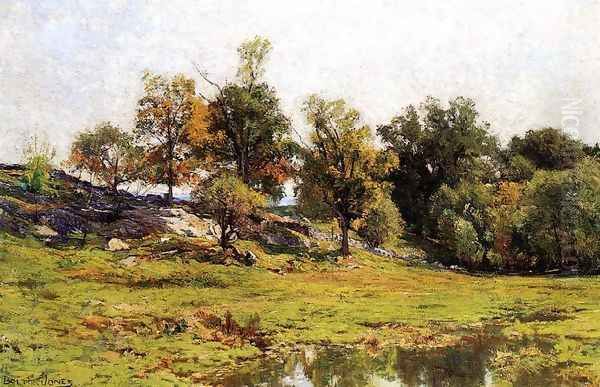 Summer Landscape - view 1