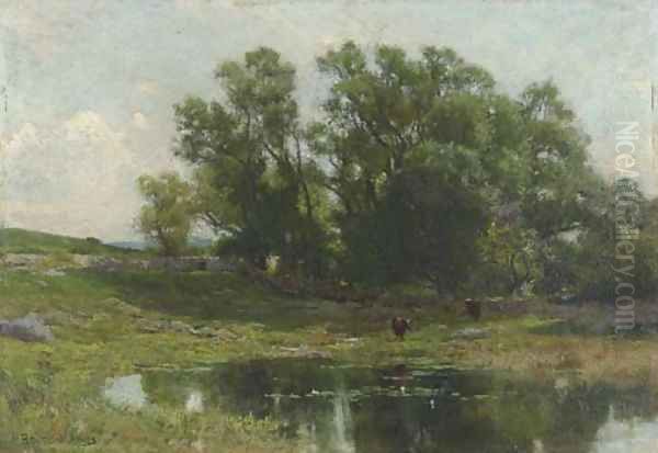 Meadow Stream - view 1