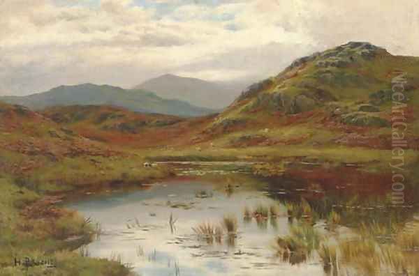 Sheep in the Valley - view 1