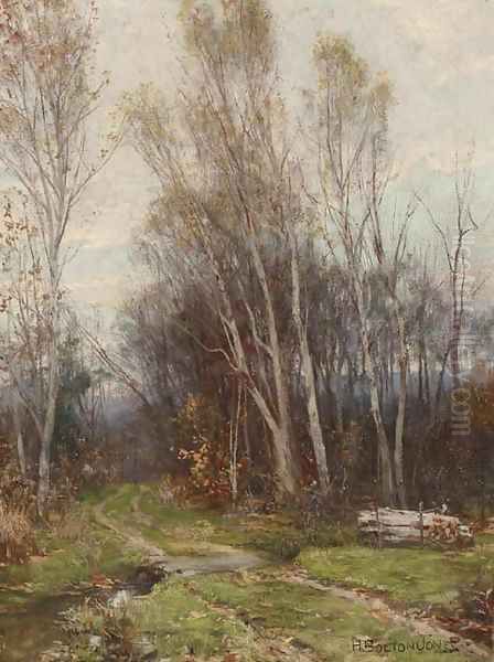 The Forest Road - view 1