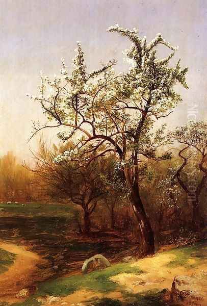 Pear Blossoms - view 1