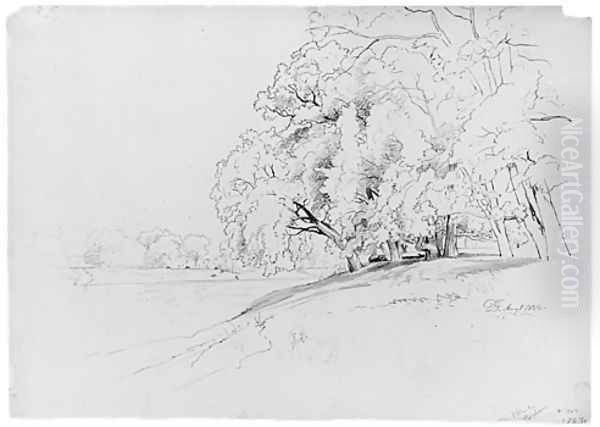Trees and Dog - view 1