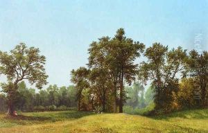 Young Elms I