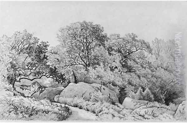 Landscape - view 1