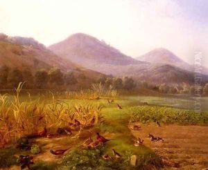 An Extensive Field With Game Birds And Rabbits
