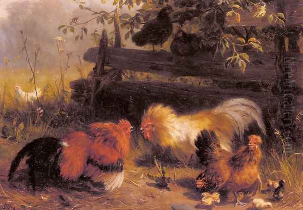 Chickens - view 1