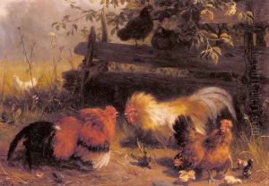 Chickens by Carl Jutz