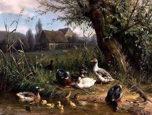 Mallard Ducks with their Ducklings