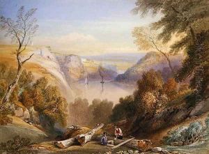 Avon Gorge from Leigh Woods looking towards St Vincent Rocks by Samuel Jackson