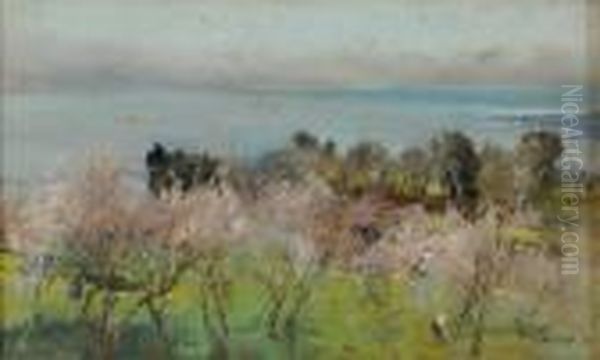 Mandorli In Fiore - view 1